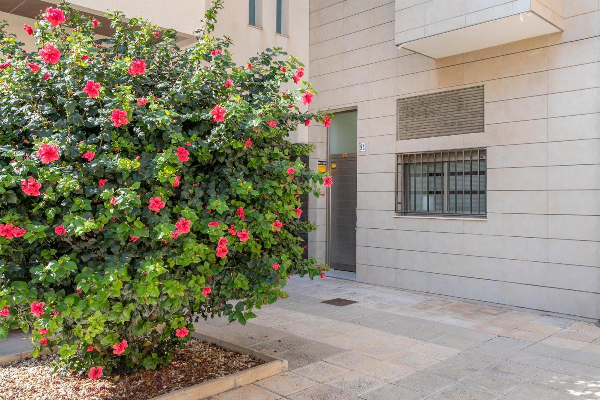 坎佩略La Casita De Mauro公寓 外观 照片